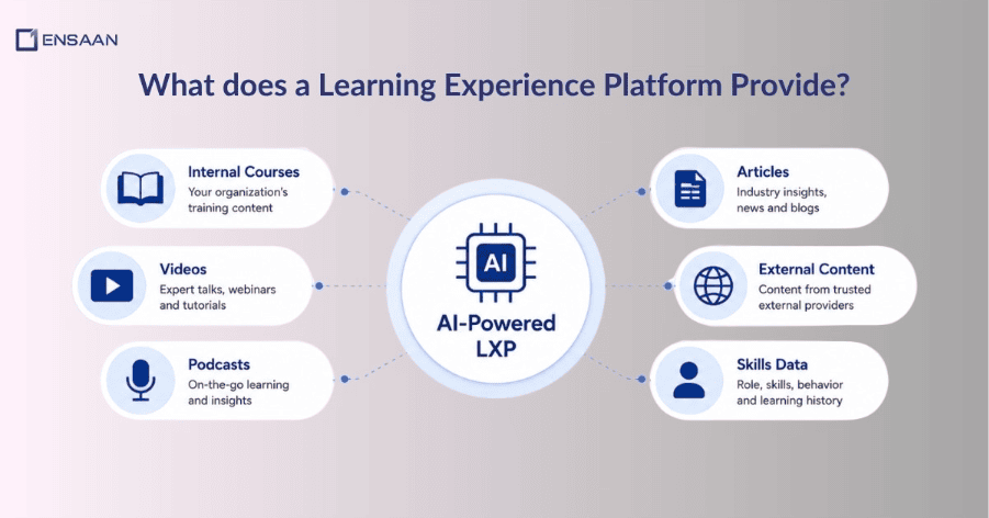 What Exactly Does a Learning Experience Platform Do?