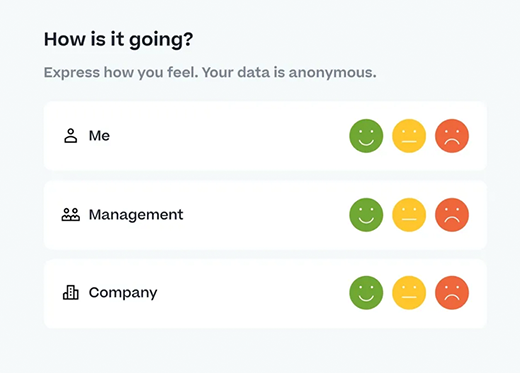 Engagement Surveys