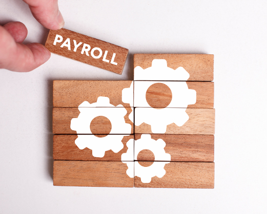COMPENSATION & PAYROLL SOLUTION