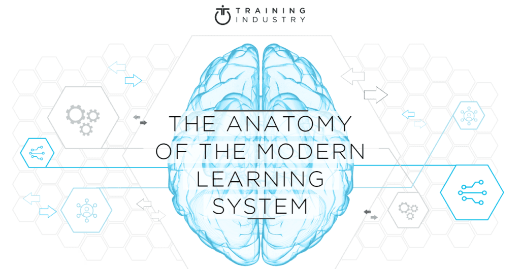 The anatomy of the modern learning system