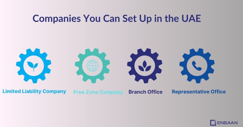 Types of Companies You Can Setup in the UAE ; ensaantech.com