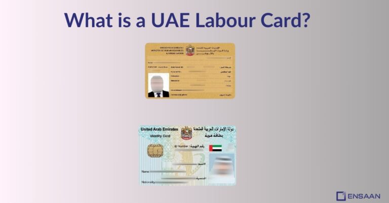 Labor Card UAE in 2026: (The Complete Guide)