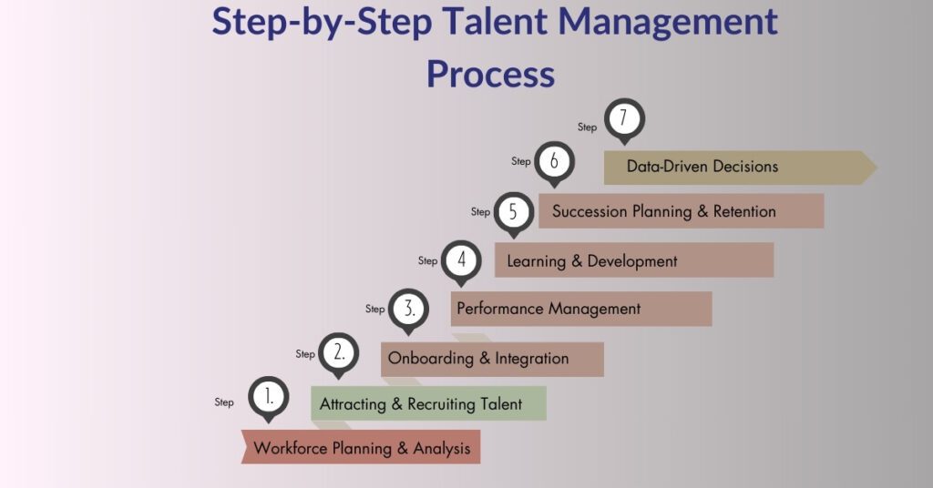 Step-by-Step Talent Management Process