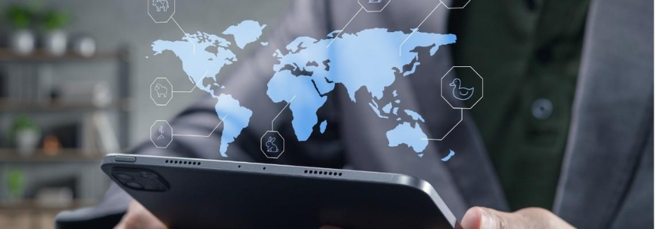 Top 10 Learning Management System (LMS) for organizations in Qatar in 2026 