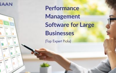 Performance Management Software for Large Businesses